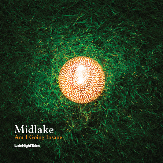 Midlake - “Am I Going Insane”