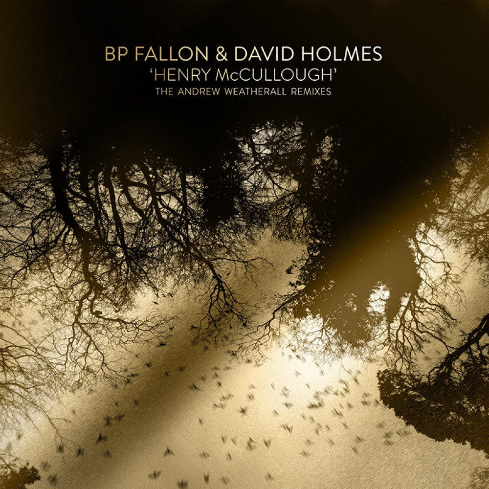 BP FALLON & DAVID HOLMES - HENRY MCCULLOUGH ANDREW WEATHERALL REMIXES (GOLD & SILVER EDITIONS)