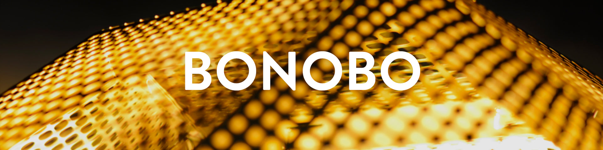 Bonobo